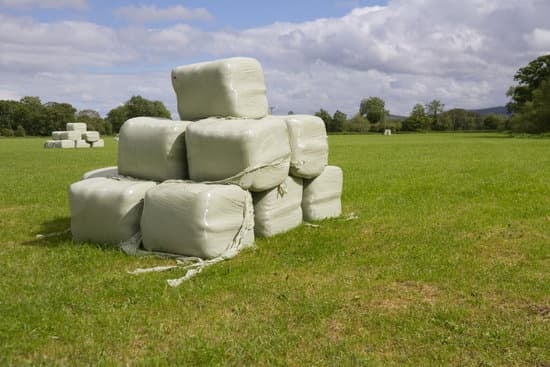 exportación de alfalfa argentina mercados internacionales