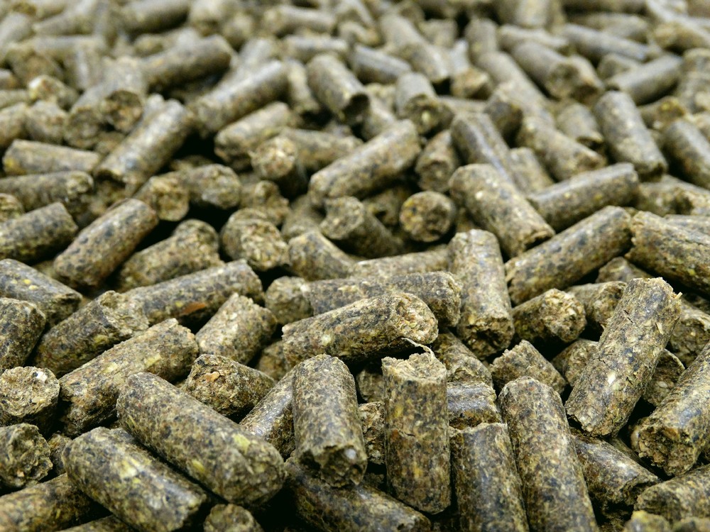 Pellets de Alfalfa Premium